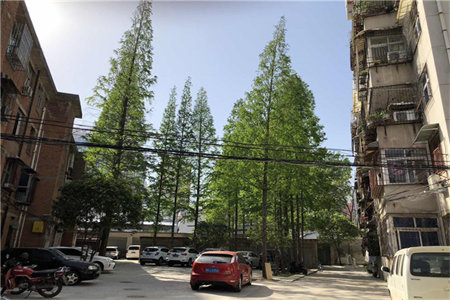 周庄小区三室一厅80平精装满五有储出售